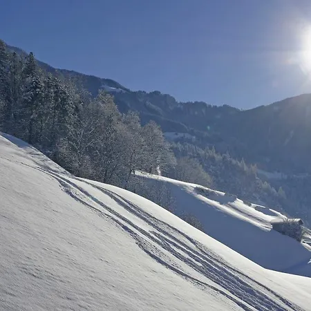 Apartamento Haus Alpenfriede Ramsau im Zillertal