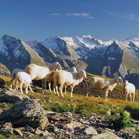 Haus Alpenfriede Apartamento *