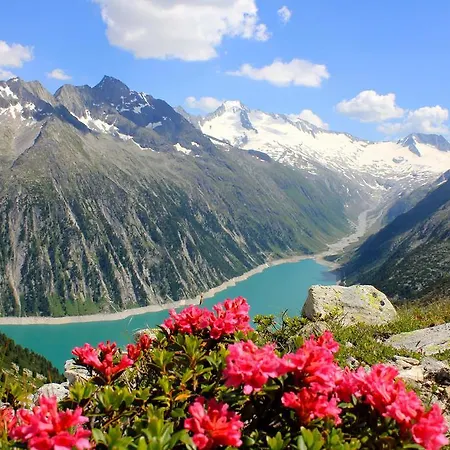 Apartamento Haus Alpenfriede *