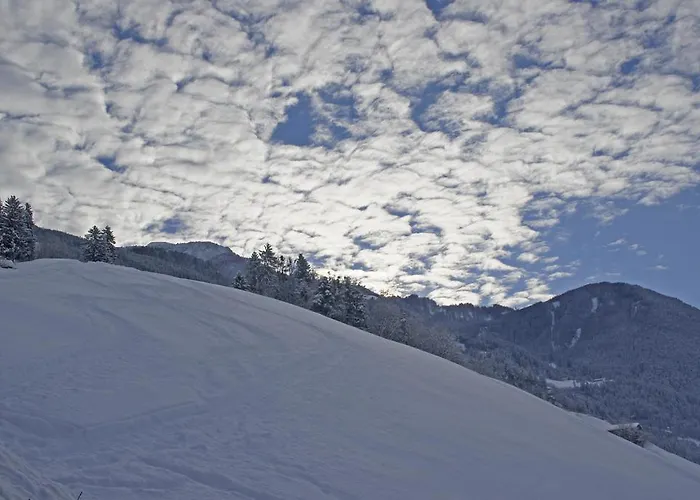 Haus Alpenfriede Apartament