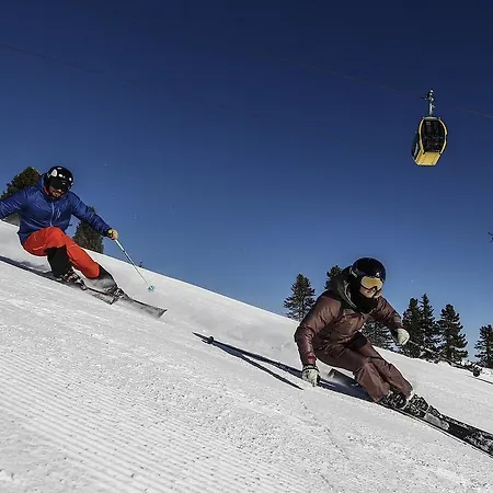 Haus Alpenfriede * Ramsau im Zillertal